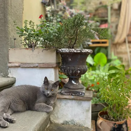 La Magione Dei Todaro *